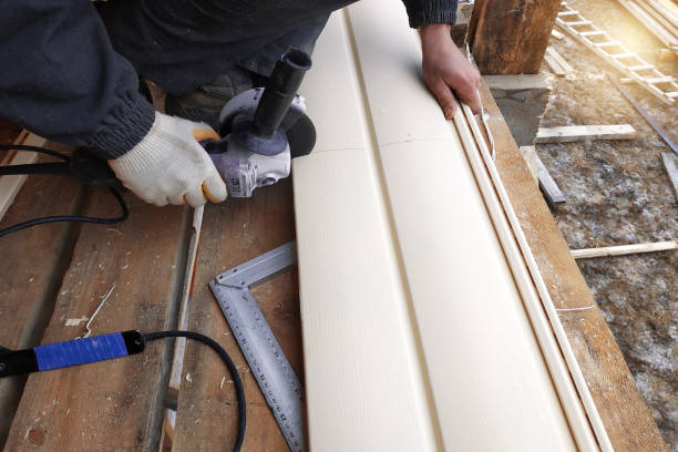 Best Storm Damage Siding Repair  in Hwatha, IA