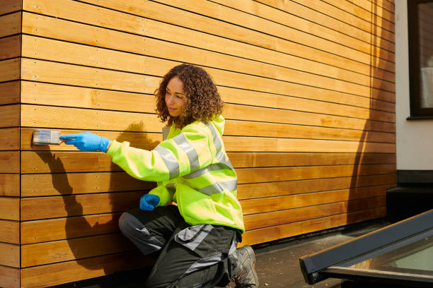 Best Siding Removal and Disposal  in Hwatha, IA